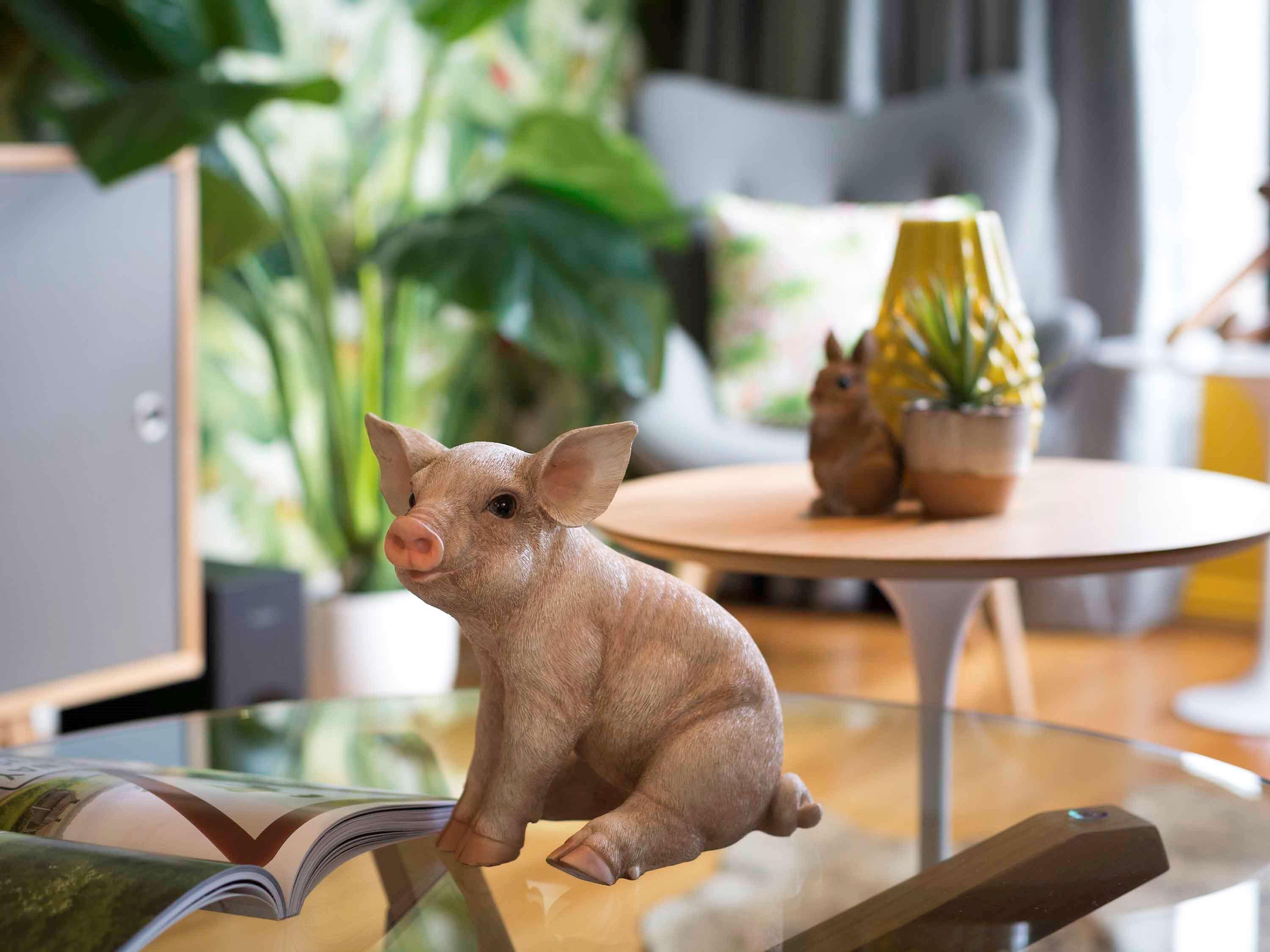 Pullman Sydney Hyde Park Hotell Eksteriør bilde A piglet
